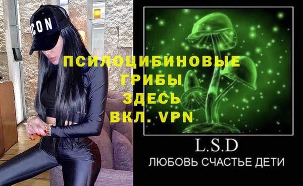 стафф Зерноград