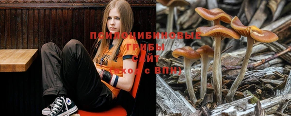 таблы Зеленокумск