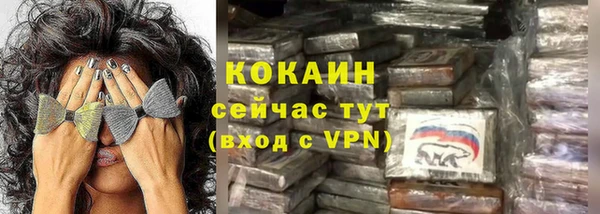 стафф Зерноград