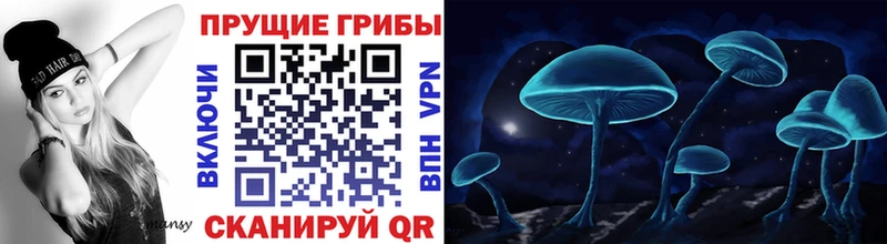 Купить где  Кораблино  Галлюциногенные грибы MAGIC MUSHROOMS 